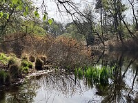 Eén minuut slechts natuur