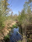 Stille natuur