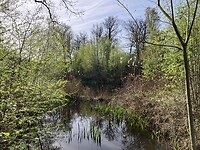 Ven in Vughtse Heide