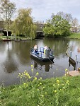 Pontje De Moerasdraak