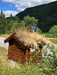 Bushalte met wildgroei