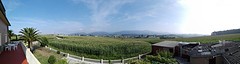 Uitzicht