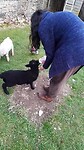 Bretagne