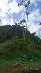 D510DD89-1C51-4948-9F54-241BE24FAB9E