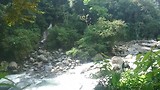 MOV_1079