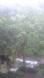 MOV_1085