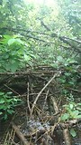 MOV_1185