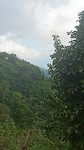 DSC_1251