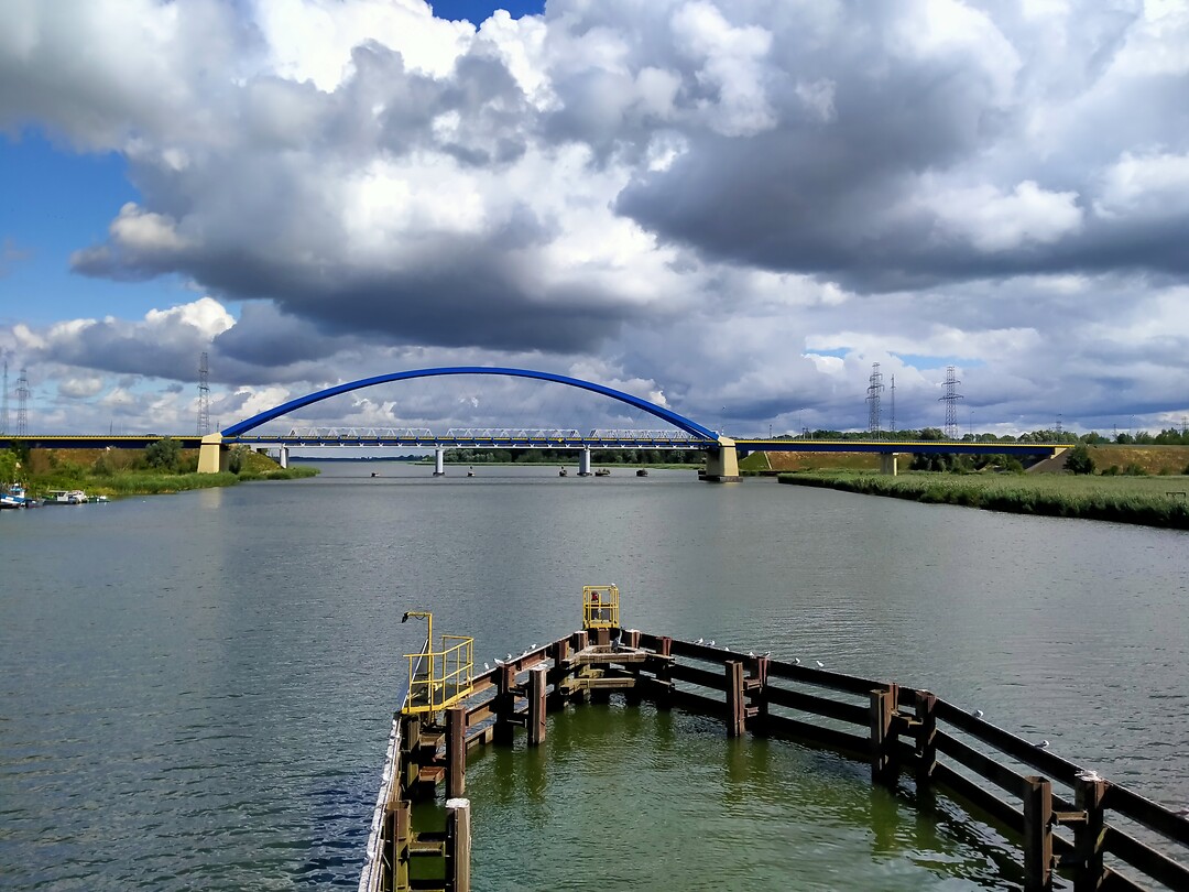 IMG20210803112503