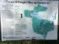 IMG_0541