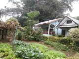 Moestuintje voor de deur van mn bungalowtje