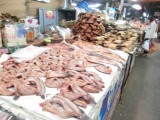 Vis @ Warrot markt