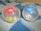 Even voorstellen... Ting & Tong m'n nieuwe travel buddy's :-)