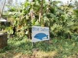 Blue Lagoon @ Ko Chang