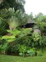 Stukje tuin van het waterpaleis @ TirtaGangga