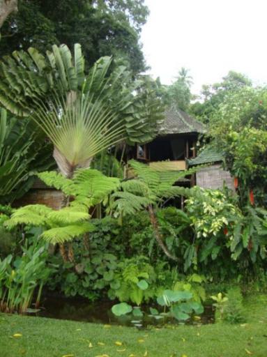 Stukje tuin van het waterpaleis @ TirtaGangga