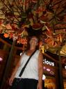 Onder de snoepboom