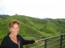 Cameron Highlands