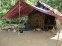Orang Asli bergstam