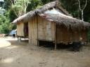 Orang Asli bergstam