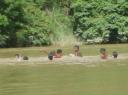 Orang asli kinderen spelen in de rivier
