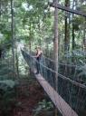 Ik doe de Canopy walk, loopbruggen in de bomen