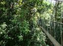 Canopy walk loopbrug