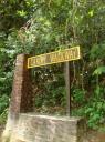 Canopy walk @ Taman Negara
