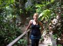 Wandeling door het oerwoud