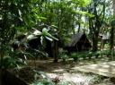 Taman Negara nationaal park