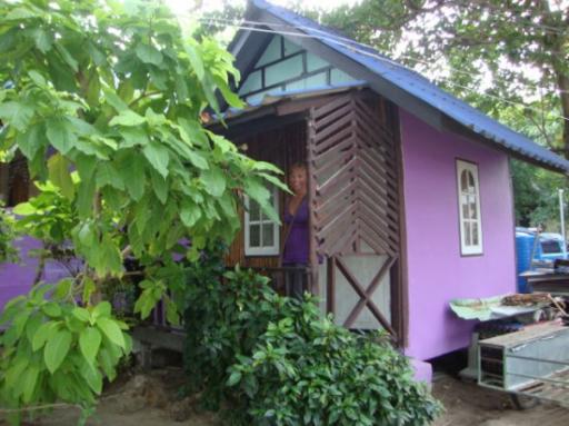 Mn Paarse bungalowtje @ Eiland Ko Tao