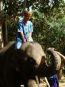 Geweldig gevoel zo boven op een olifant zitten!