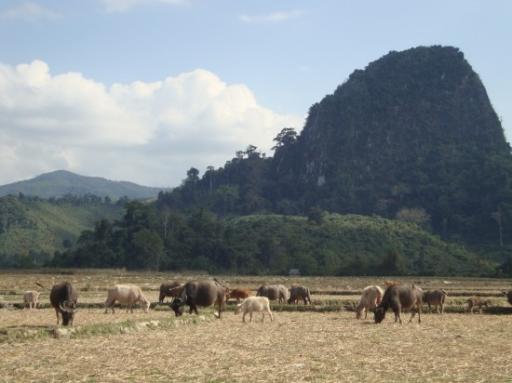 Trekking in de bergen