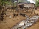 Dorpje @ Laos