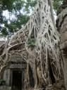 Angkor Wat