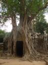 Angkor Wat