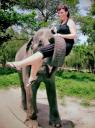Olifant pakt me op met zijn slurf