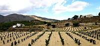 Onderweg naar Altea
