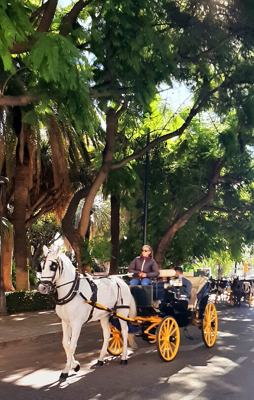 Malaga