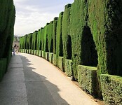 Tuin in La Alhambra