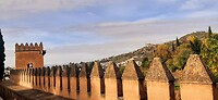 Paleis en fort La Alhambra