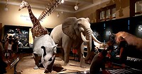 Het nationale museum