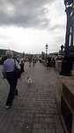 Op de Karlz brug in Praag