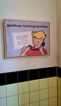 Het Nederlandse Openluchtmuseum