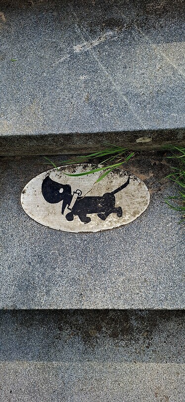 Takkie!