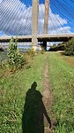 Bij de Martinus Nijhoffbrug in Zaltbommel