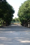 DSC01751