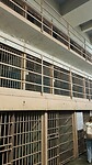 Alcatraz