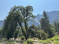 IMG_4388