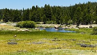 IMG_0587